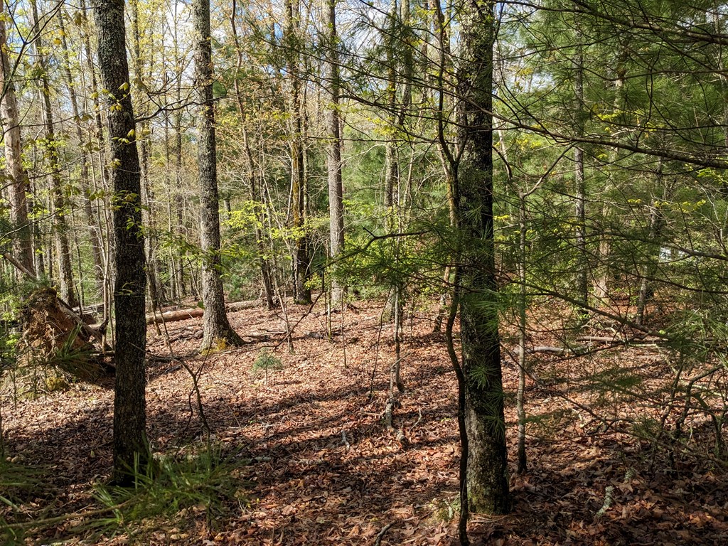 Lot 7 Caddis Trail Property Photo 2