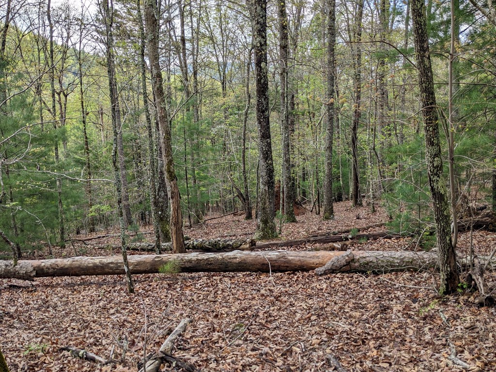 Lot 7 Caddis Trail Property Photo 3
