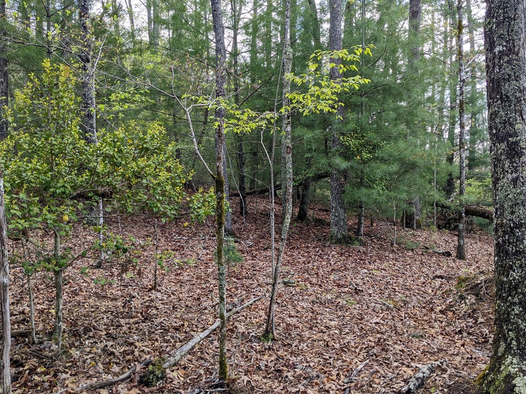 Lot 7 Caddis Trail Property Photo 5