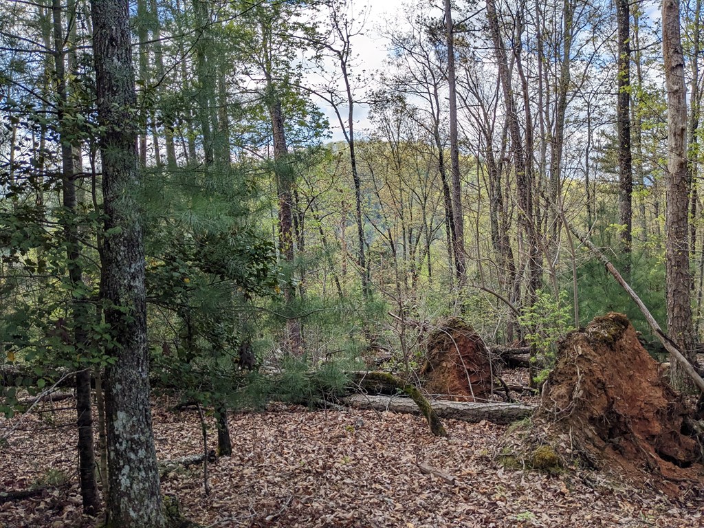 Lot 7 Caddis Trail Property Photo 6