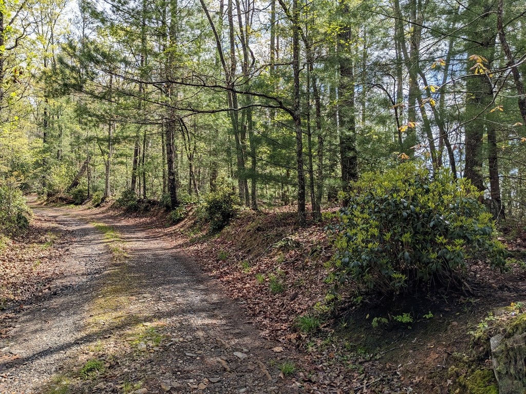 Lot 7 Caddis Trail Property Photo 7