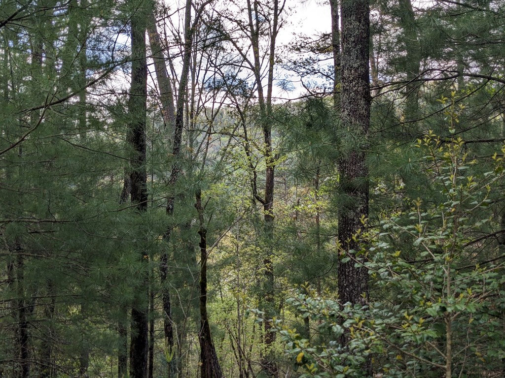 Lot 7 Caddis Trail Property Photo 8