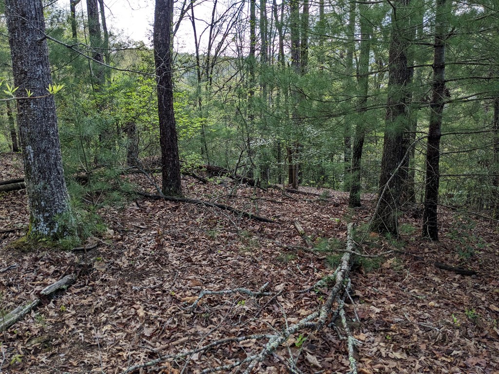 Lot 7 Caddis Trail Property Photo 10