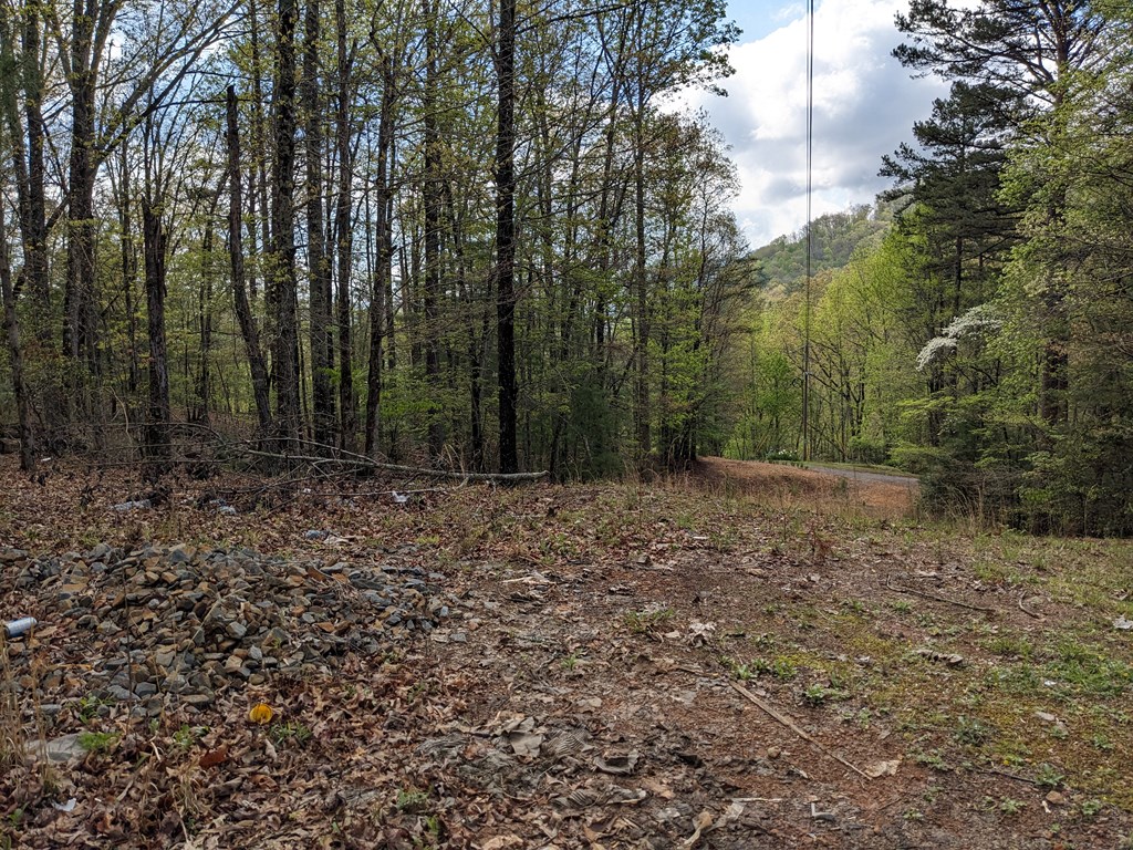 Lot 7 Caddis Trail Property Photo 11