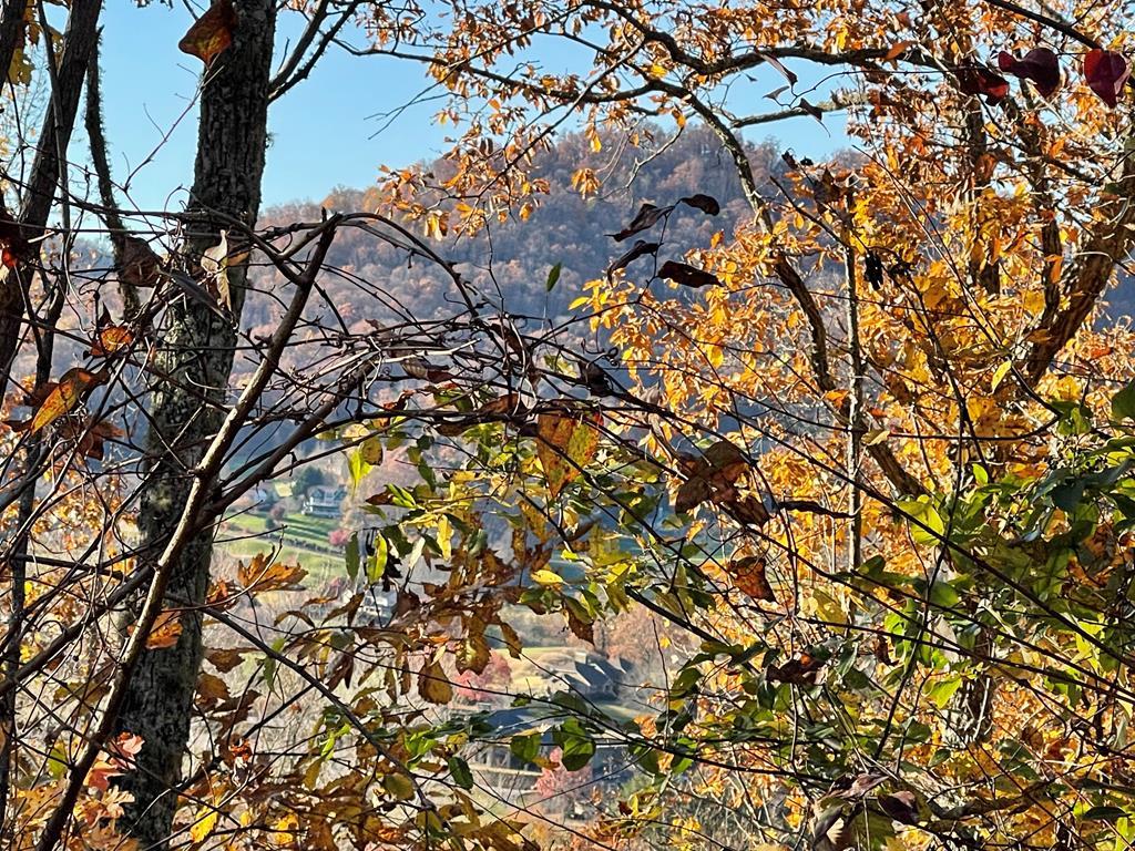 Lot 37m Ridges Overlook Property Photo 1