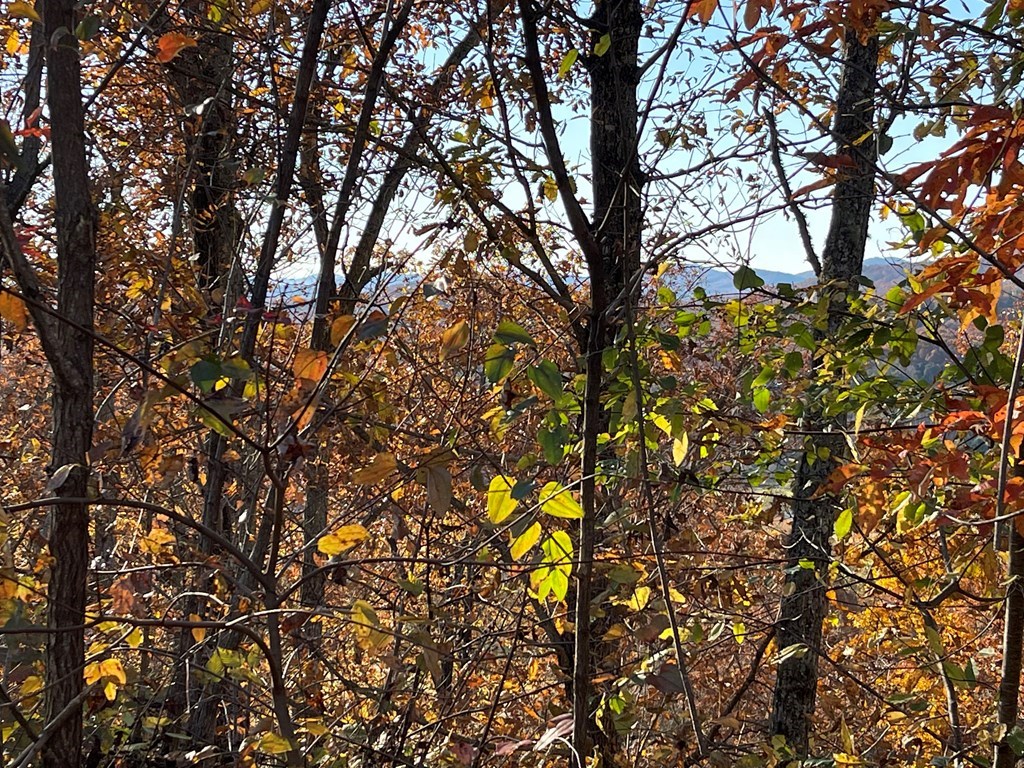 Lot 37m Ridges Overlook Property Photo 2