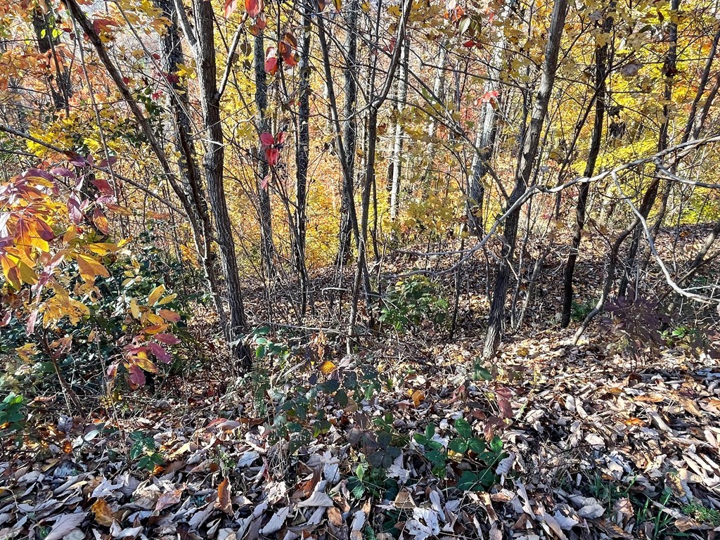 Lot 37m Ridges Overlook Property Photo 3