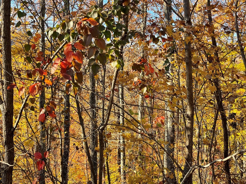 Lot 37m Ridges Overlook Property Photo 4