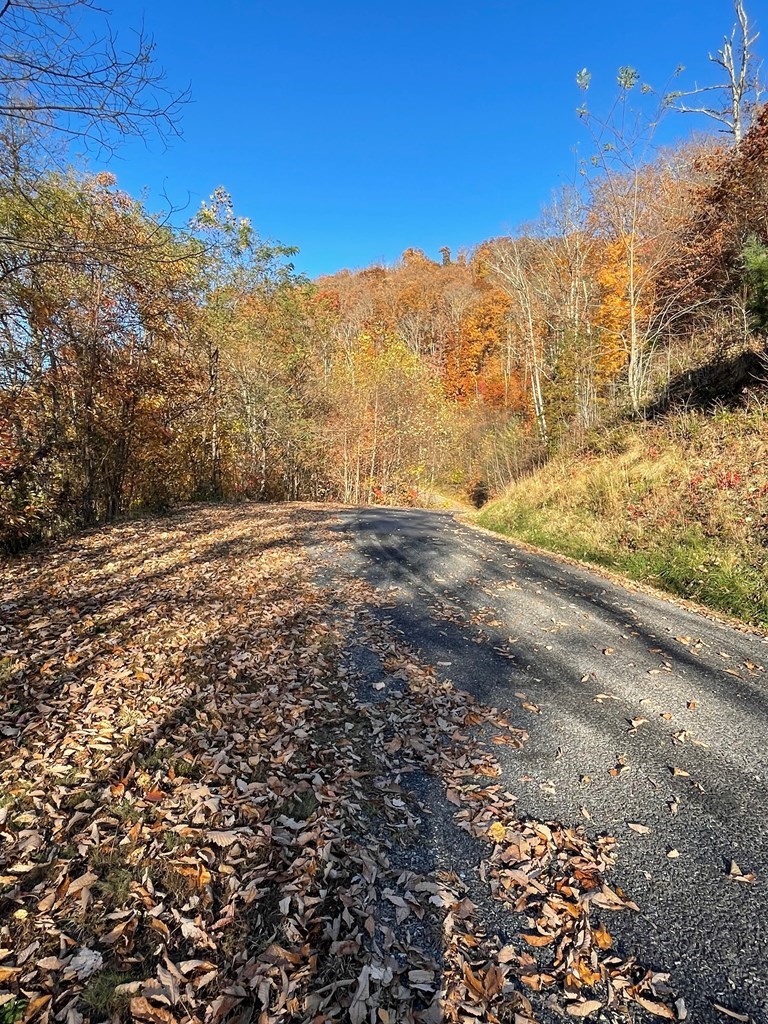 Lot 37m Ridges Overlook Property Photo 5