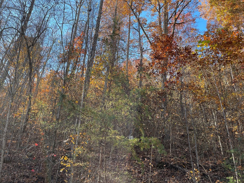 36 54c Ash Branch Circle Property Photo 3