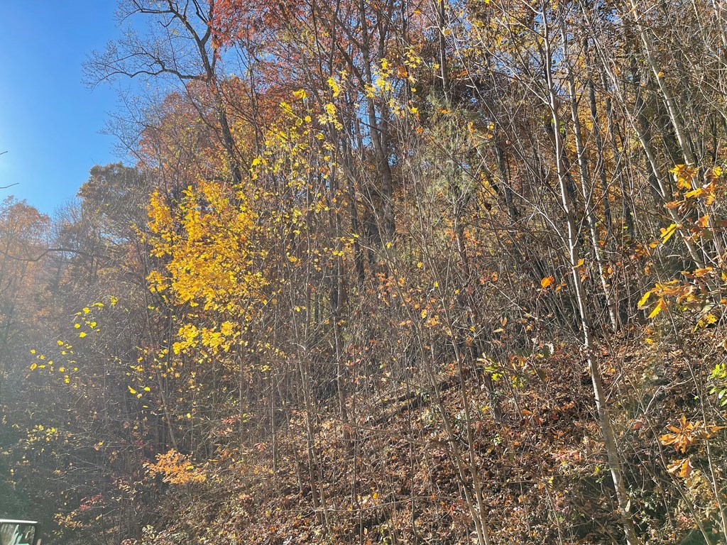 36 54c Ash Branch Circle Property Photo 6
