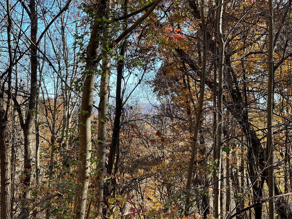 36 54c Ash Branch Circle Property Photo 8