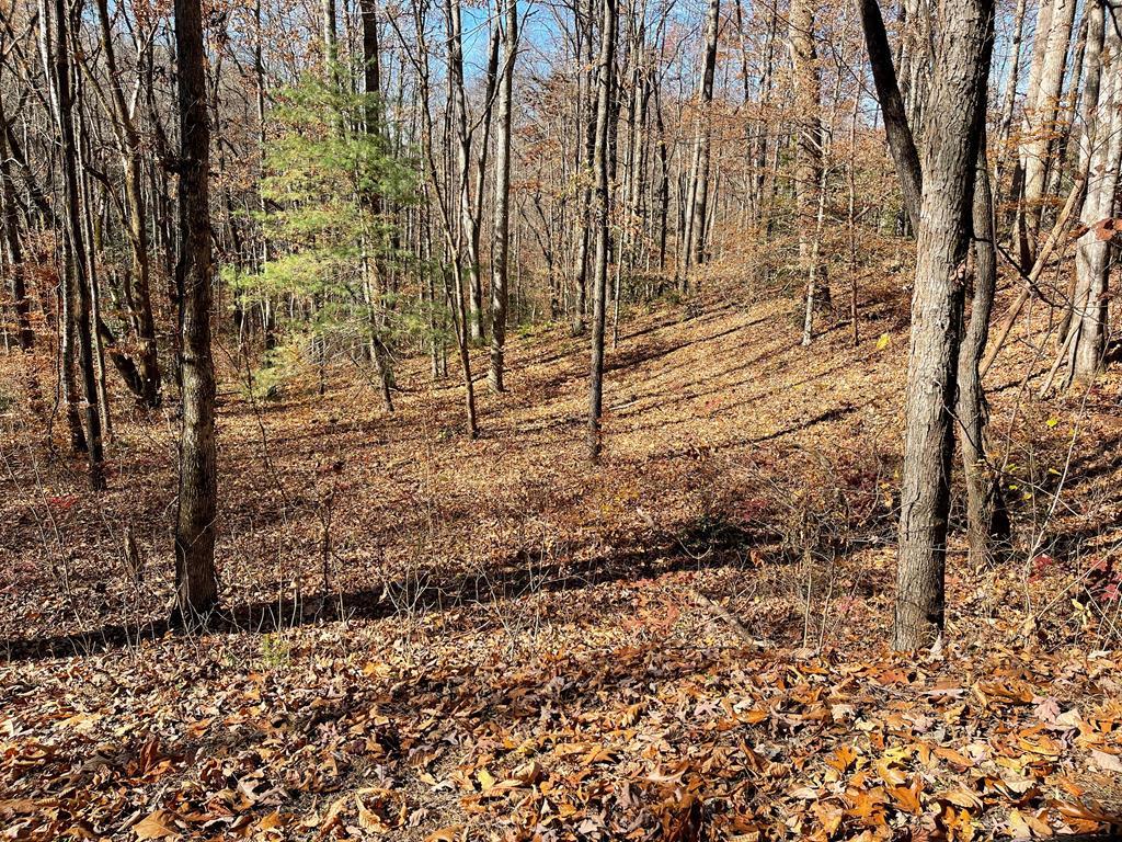 Tbd Ashe Knob Drive Property Photo 1