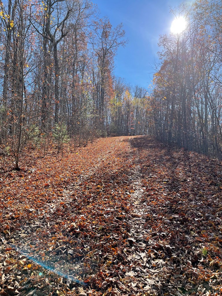 Tbd Ashe Branch View Property Photo 3