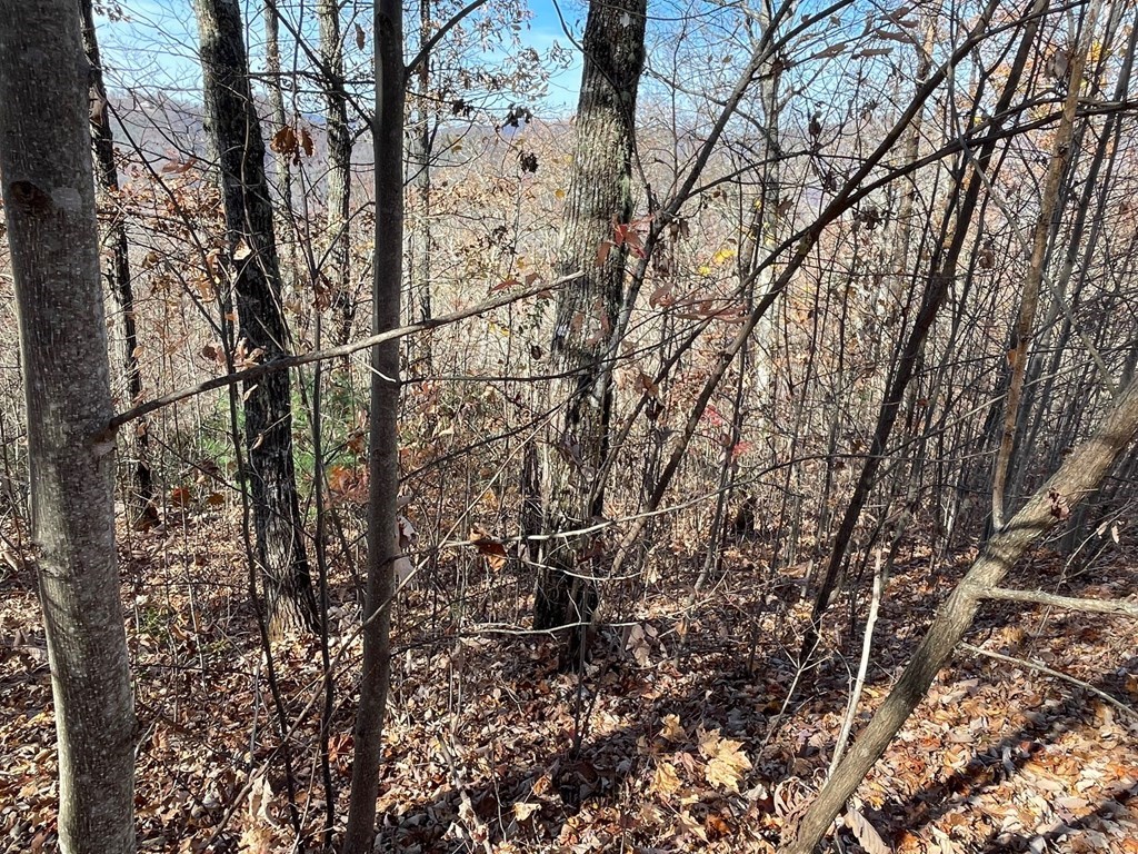 Tbd Ashe Branch View Property Photo 4