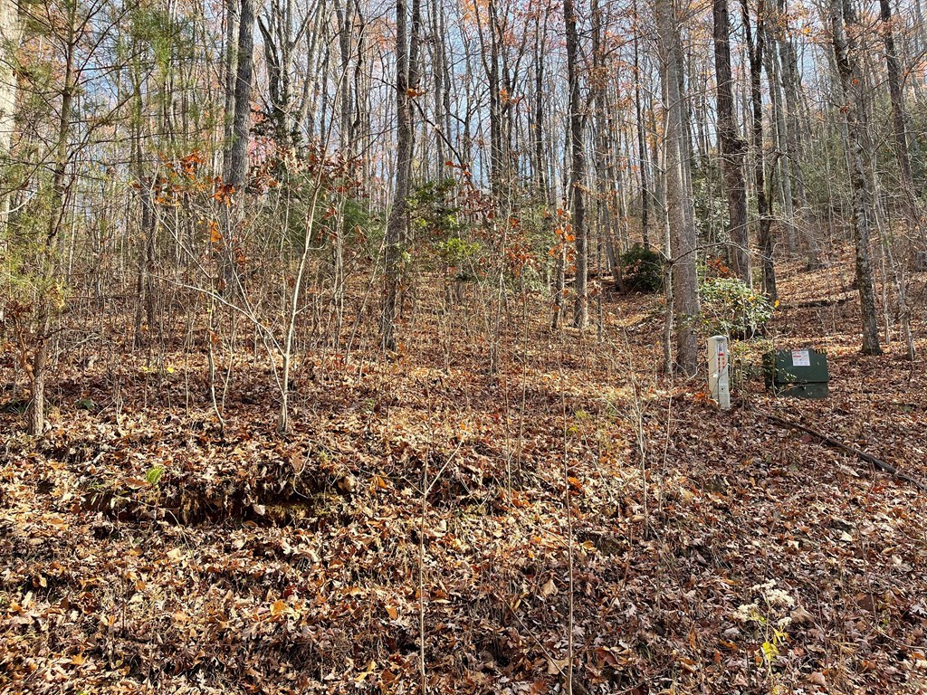 Tbd Ashe Branch View Property Photo 5