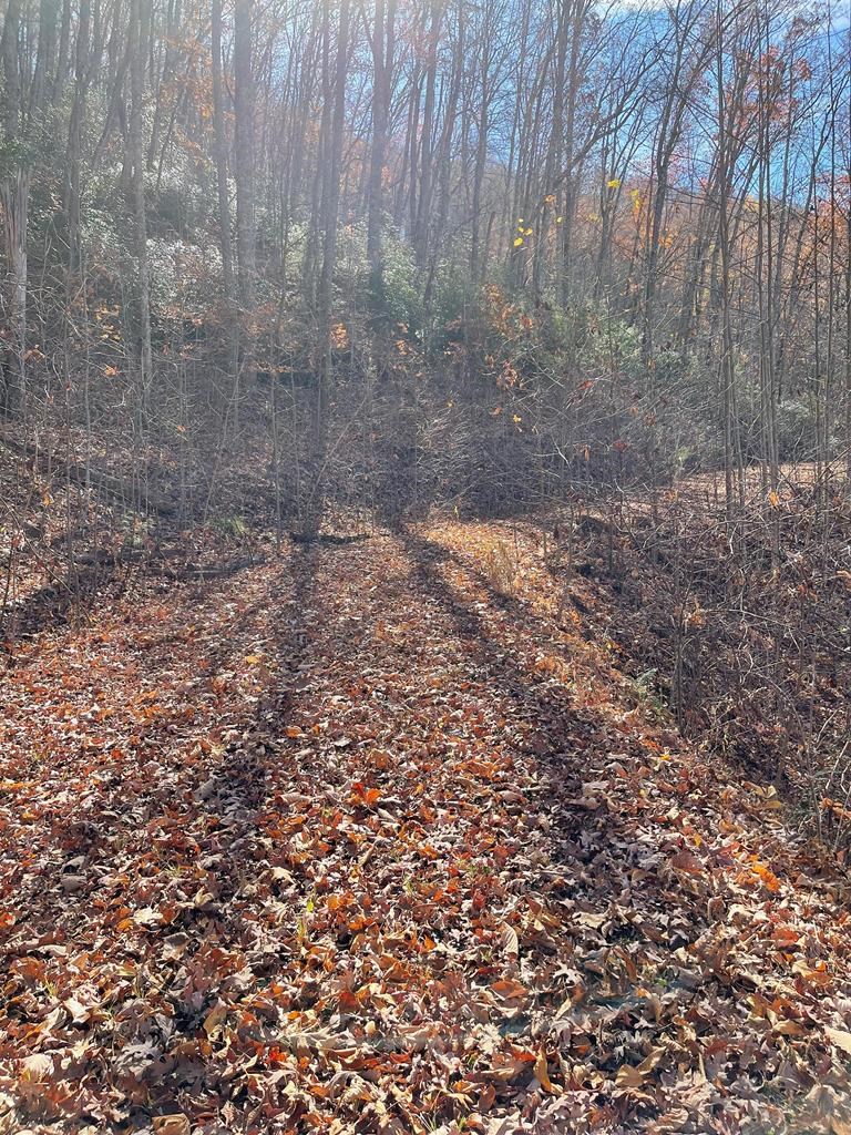 Tbd Ashe Branch View Property Photo 6