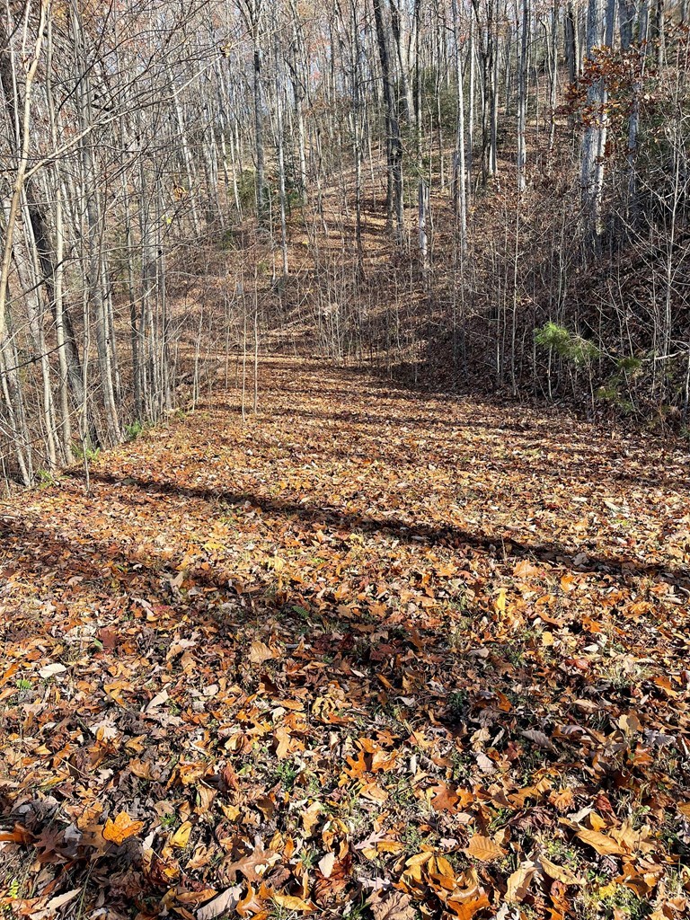 Tbd Ashe Branch View Property Photo 7