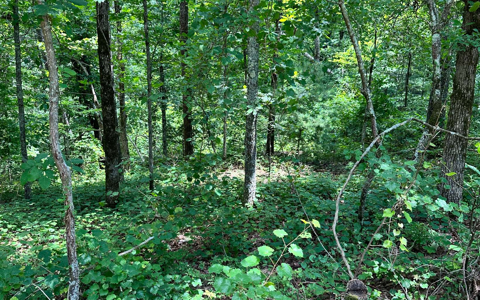 Lt 1719 Rebekah Ridge Road Property Photo 1