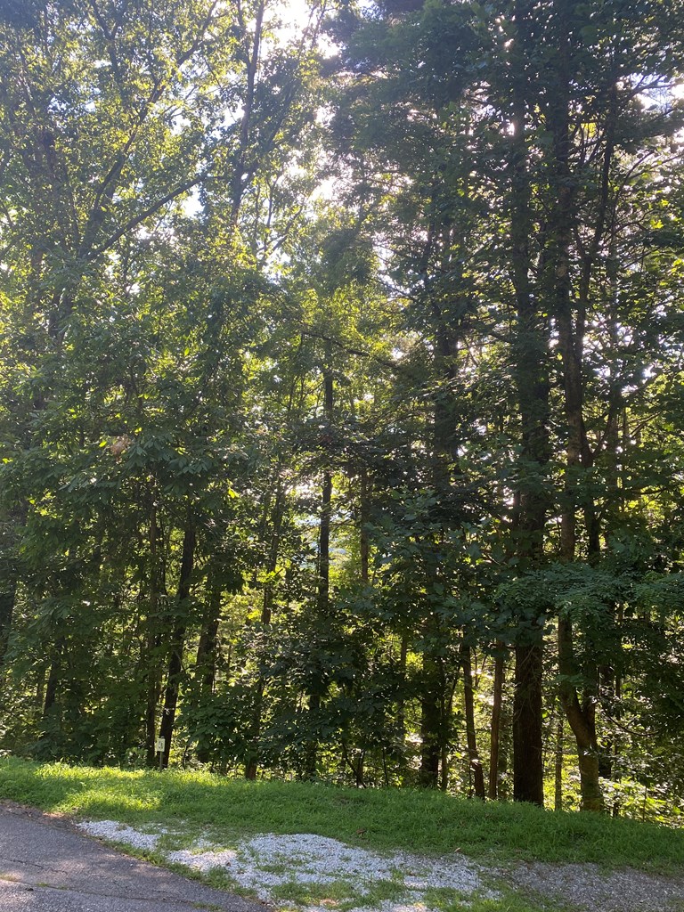 Lot 47 Mountain Top Property Photo 10