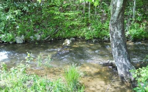 25 Tusquittee Crossing Property Photo 1