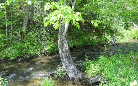 25 Tusquittee Crossing Property Photo 3