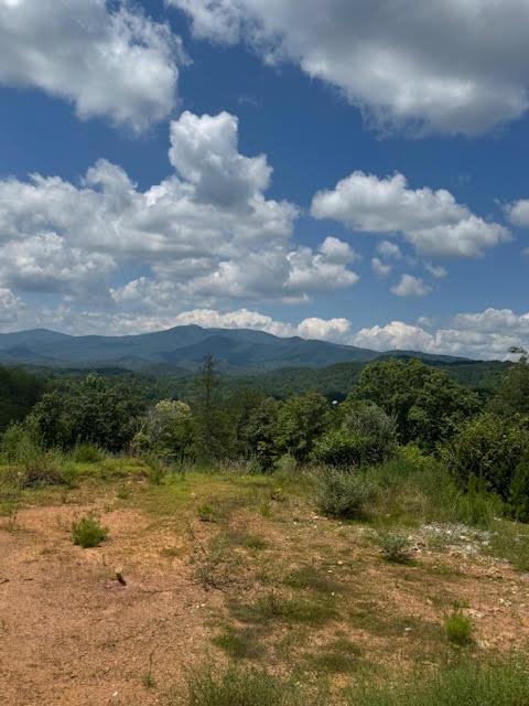 340 Oliver Road Property Photo 1