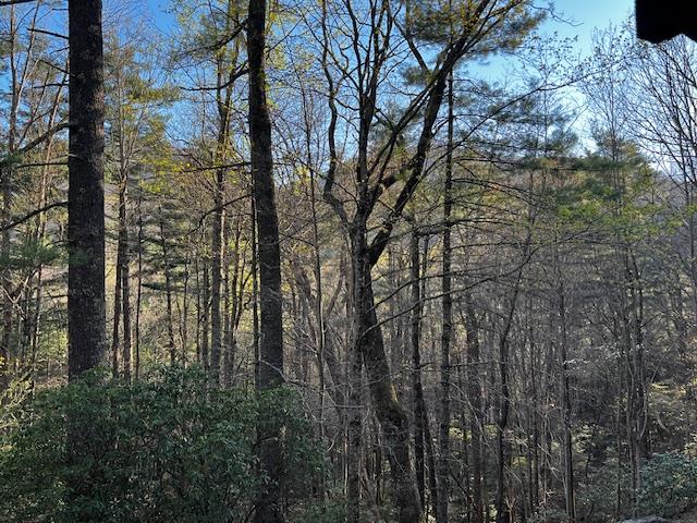 100 Reddick Drive Property Photo 11