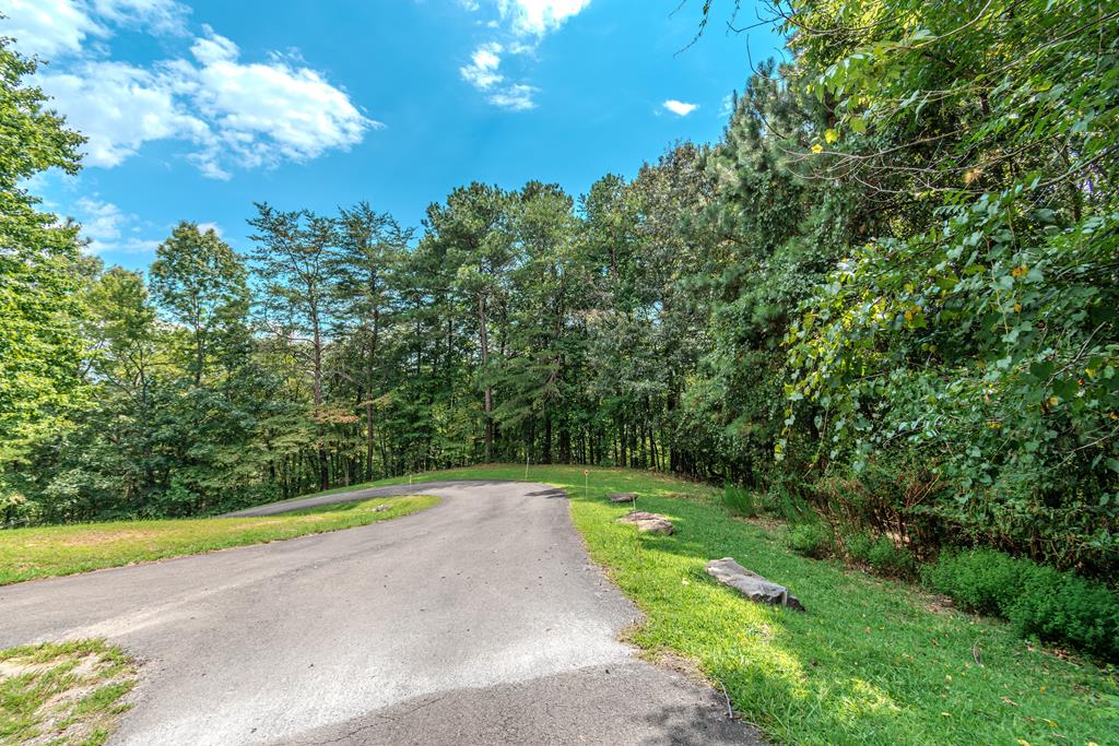 Lot 103r Mountain Creek Hollow Drive Property Photo 1