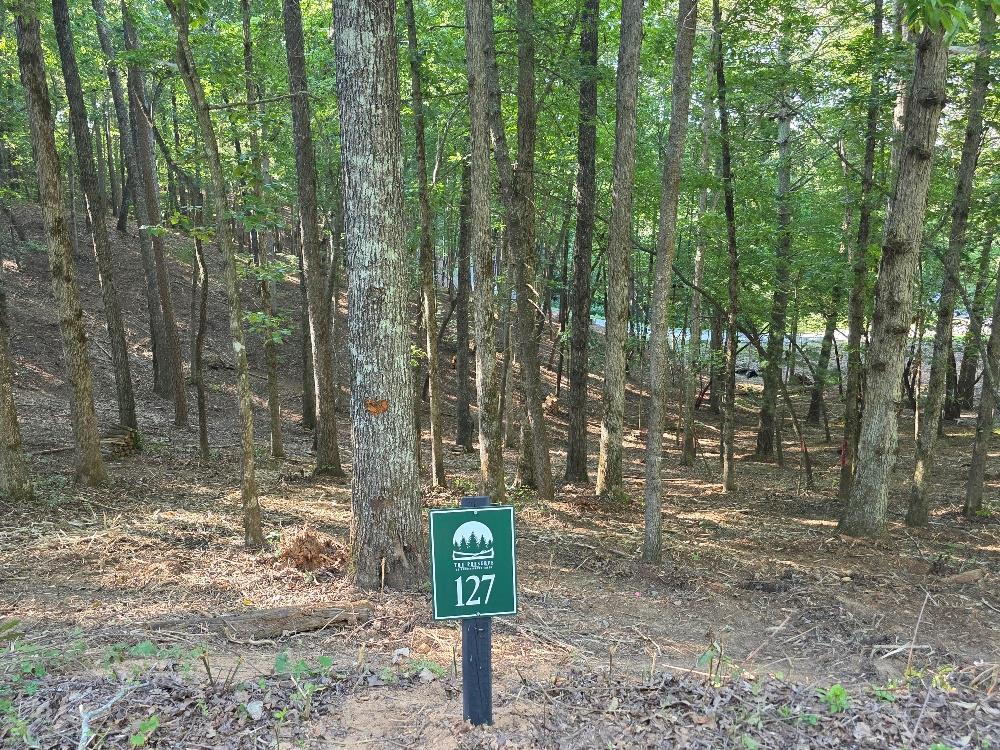 Lot 127R Red Oak Trail