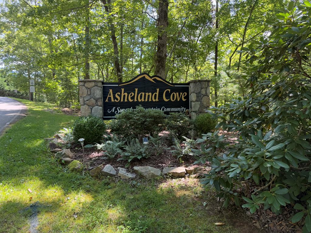 Lot 106 Asheland Cove Property Photo 1