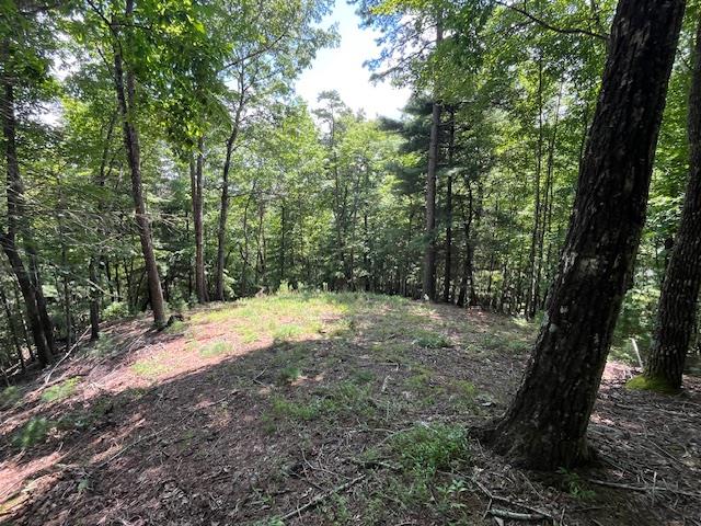 Lot 11 Laurel Mountain Road Property Photo 1