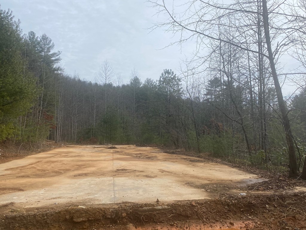 0 Flea Mountain Road Property Photo 2