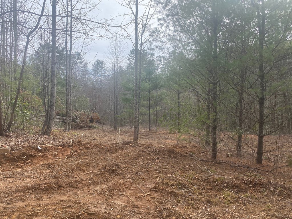 0 Flea Mountain Road Property Photo 4