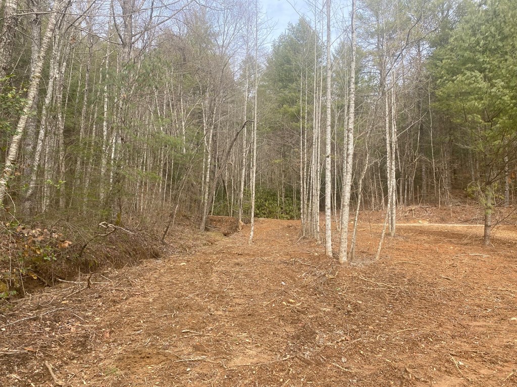 0 Flea Mountain Road Property Photo 5