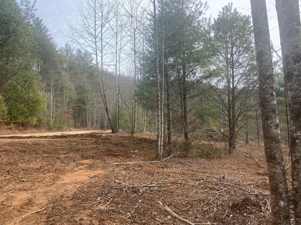 0 Flea Mountain Road Property Photo 6