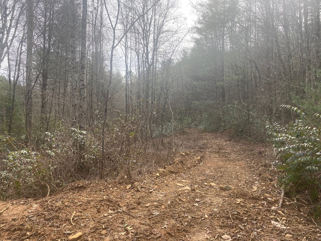 0 Flea Mountain Road Property Photo 7
