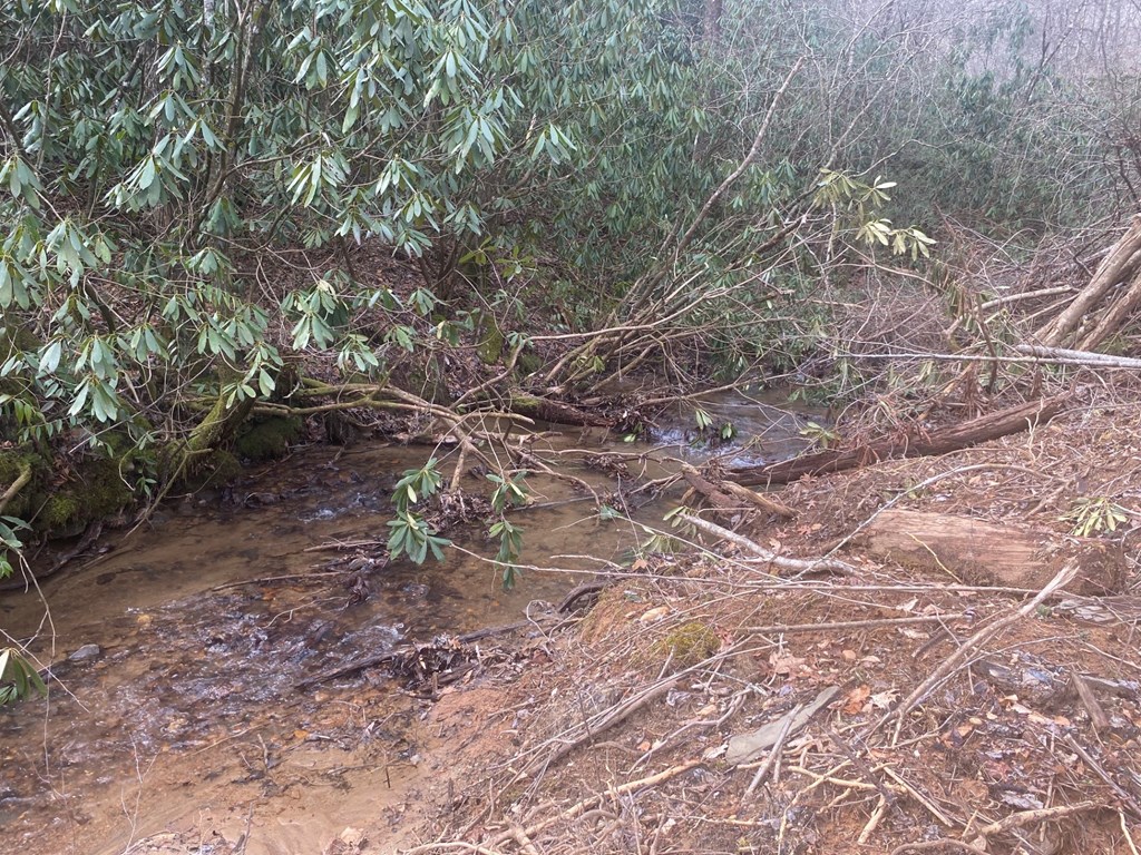 0 Flea Mountain Road Property Photo 8