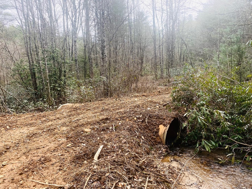 0 Flea Mountain Road Property Photo 9