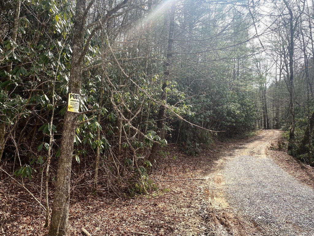 0 Flea Mountain Road Property Photo 10