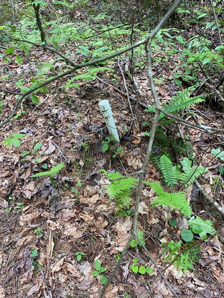 0 Flea Mountain Road Property Photo 12