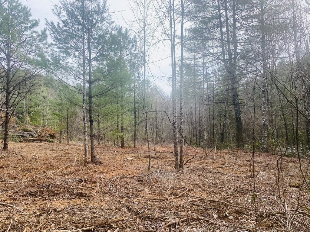 0 Flea Mountain Road Property Photo 15