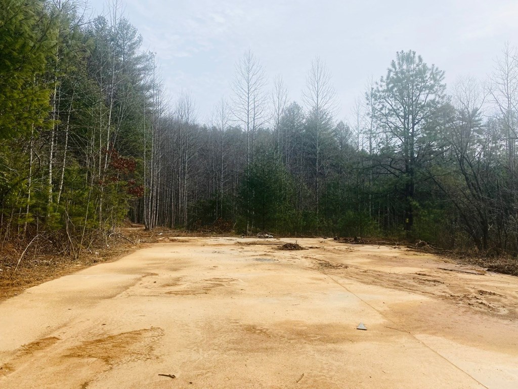 0 Flea Mountain Road Property Photo 16