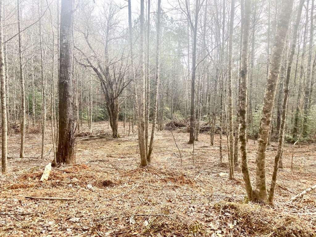 0 Flea Mountain Road Property Photo 18