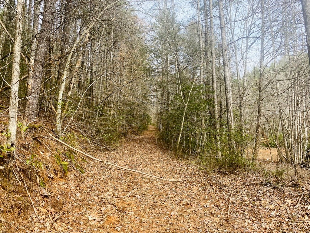 0 Flea Mountain Road Property Photo 19