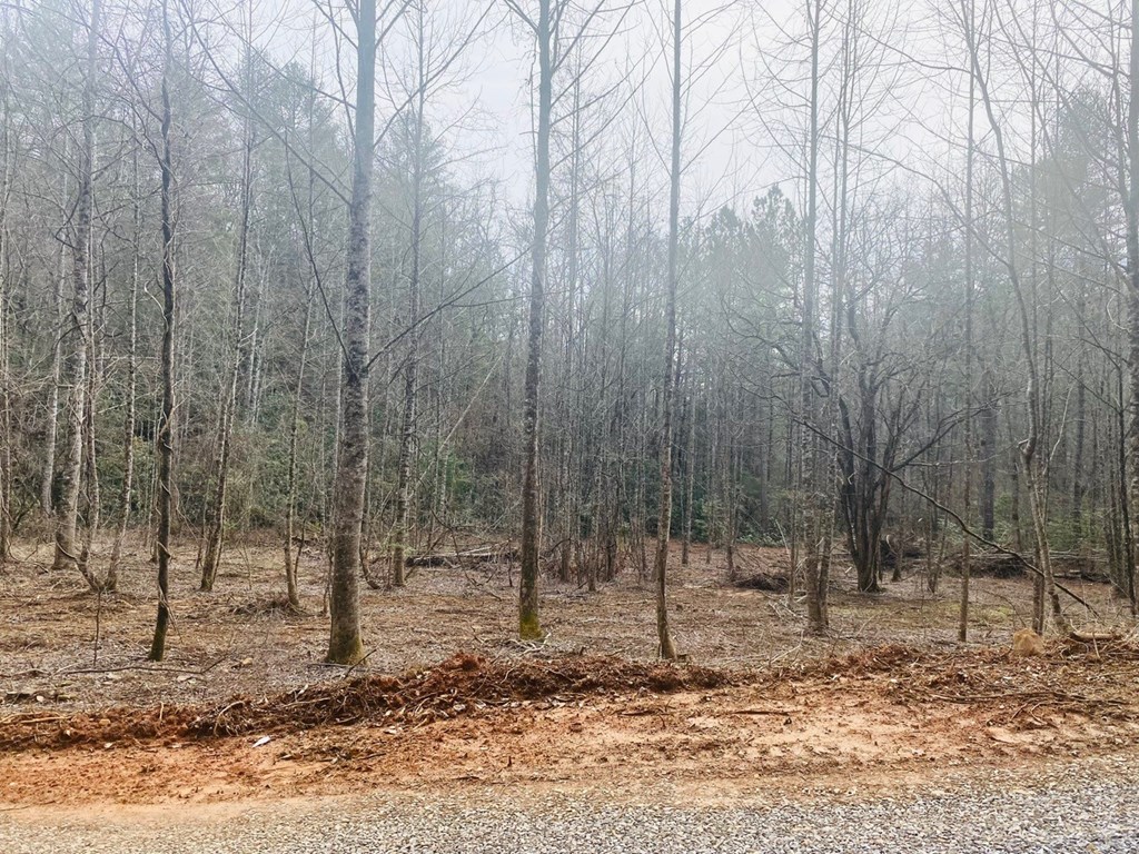 0 Flea Mountain Road Property Photo 20