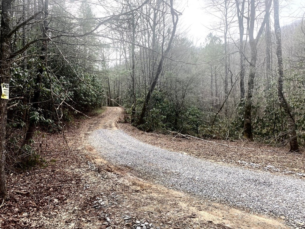 0 Flea Mountain Road Property Photo 21