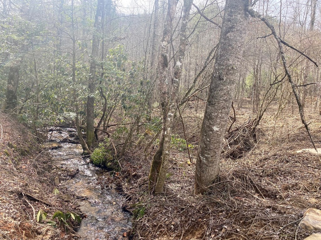 0 Flea Mountain Road Property Photo 23