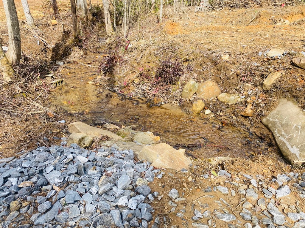 0 Flea Mountain Road Property Photo 24