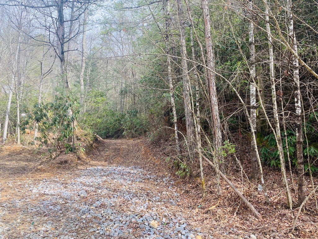 0 Flea Mountain Road Property Photo 25